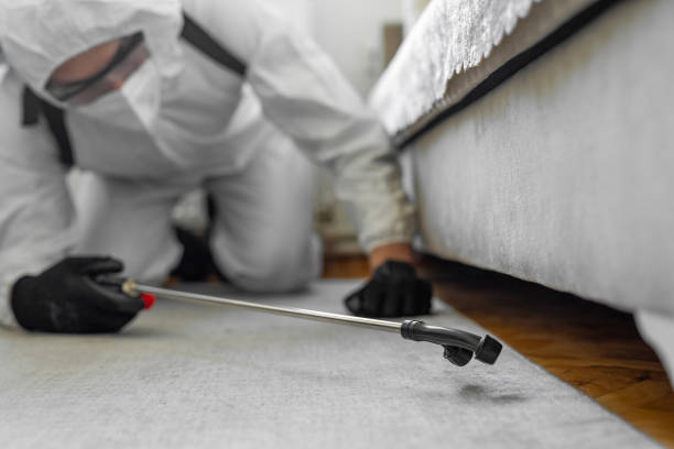 Professional Termite Control technician working in Marvell, AR